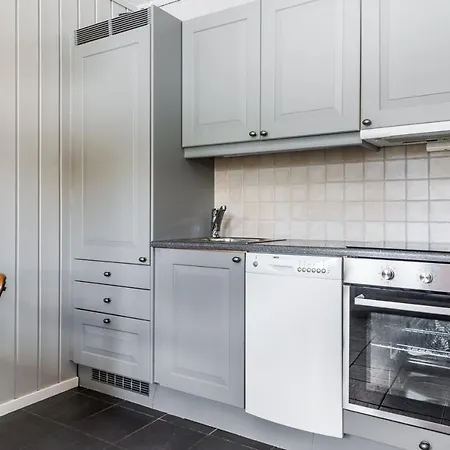 Budor Familieleilighet 1.5 Time Fra Oslo شقة *